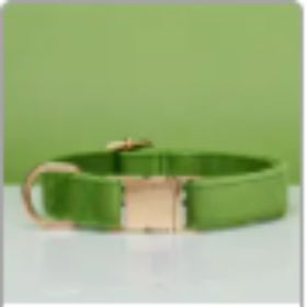 Multiple Colour Velvet Personalise Dog Collar Leash Set With Bow (Option: Green-L)