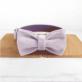 MUTTCO drawstring traction belt set (Option: Light purple A Set-M)